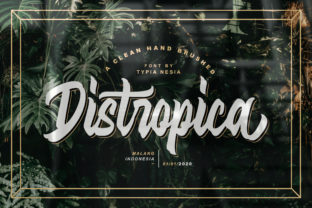 Distropica: A Modern Display Font for Real Branding Work