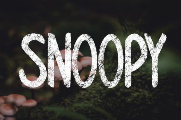 Snoopy: A Playful Display Font