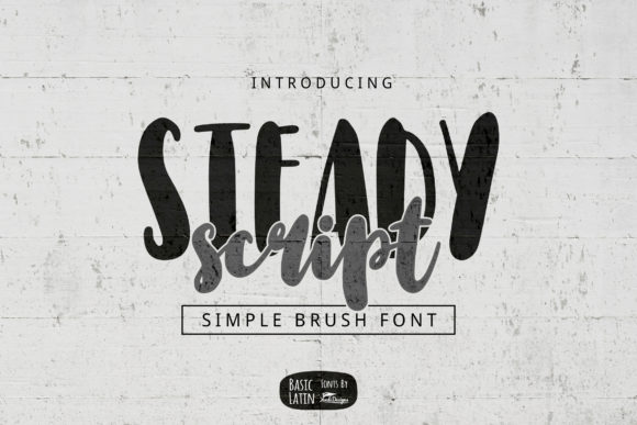 Steady Script Font: A Whimsical Display Typeface for Digital Brands